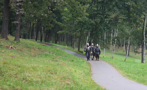 Strielčiukų zygtakis.jpg